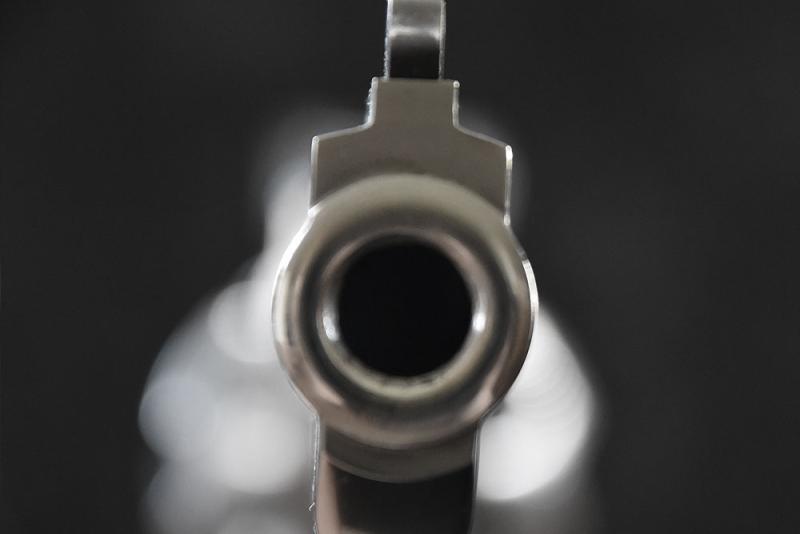Taurus CUS-689, .357 Magnum